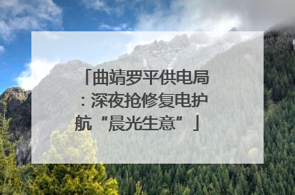 曲靖罗平供电局：深夜抢修复电护航“晨光生意”
