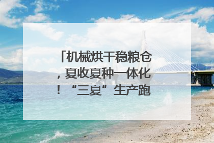 机械烘干稳粮仓，夏收夏种一体化！“三夏”生产跑出加速度｜麦报