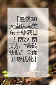 最快30天直达南美东主要港口！南沙-南美东“金砖快航”全面升级优化