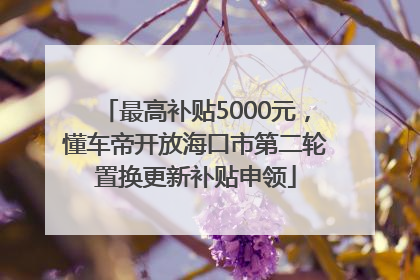 最高补贴5000元，懂车帝开放海口市第二轮置换更新补贴申领