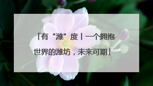 有“潍”度丨一个拥抱世界的潍坊，未来可期