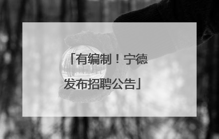 有编制！宁德发布招聘公告