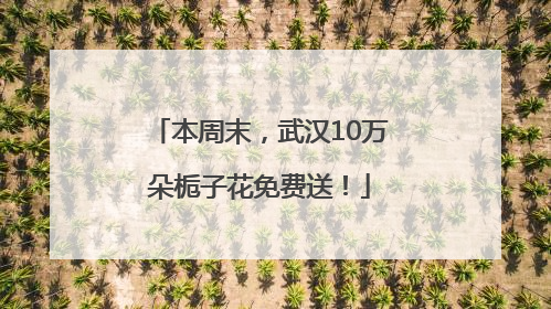 本周末，武汉10万朵栀子花免费送！