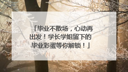 毕业不散场，心动再出发！学长学姐留下的毕业彩蛋等你解锁！