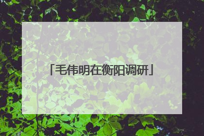 毛伟明在衡阳调研