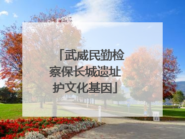 武威民勤检察保长城遗址护文化基因