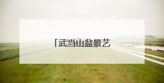 武当山盆景艺术文化展开展