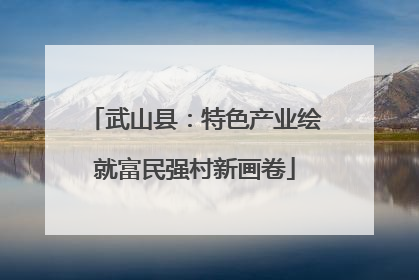 武山县：特色产业绘就富民强村新画卷