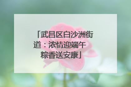 武昌区白沙洲街道：浓情迎端午 粽香送安康