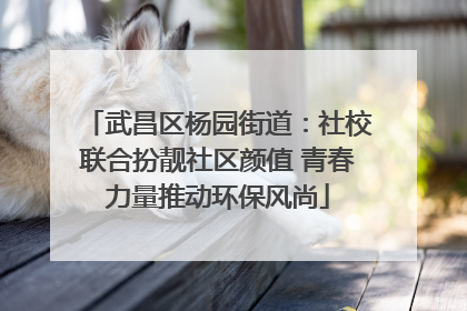 武昌区杨园街道：社校联合扮靓社区颜值 青春力量推动环保风尚