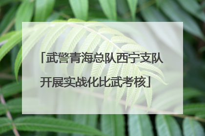 武警青海总队西宁支队开展实战化比武考核