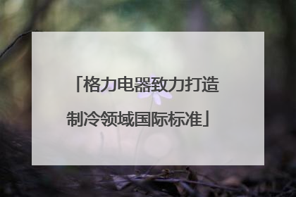 格力电器致力打造制冷领域国际标准