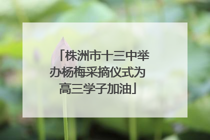 株洲市十三中举办杨梅采摘仪式为高三学子加油