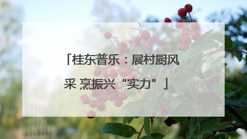 桂东普乐：展村厨风采 烹振兴“实力”