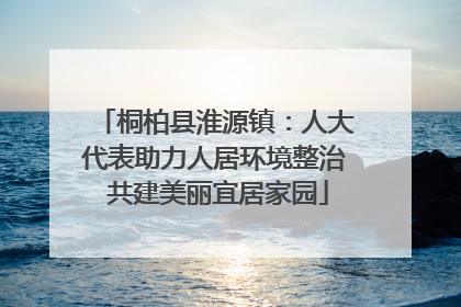 桐柏县淮源镇：人大代表助力人居环境整治 共建美丽宜居家园