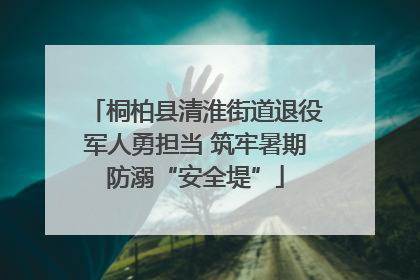 桐柏县清淮街道退役军人勇担当 筑牢暑期防溺“安全堤”