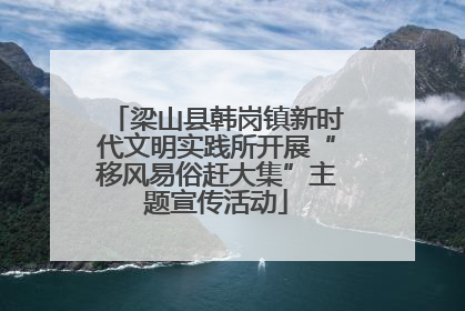 梁山县韩岗镇新时代文明实践所开展“移风易俗赶大集”主题宣传活动