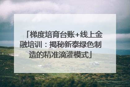 梯度培育台账+线上金融培训：揭秘新泰绿色制造的精准滴灌模式
