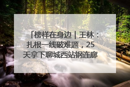 榜样在身边|王林:扎根一线破难题,25天拿下聊城西站钢连廊“硬核”工程