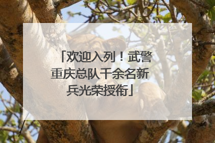 欢迎入列！武警重庆总队千余名新兵光荣授衔
