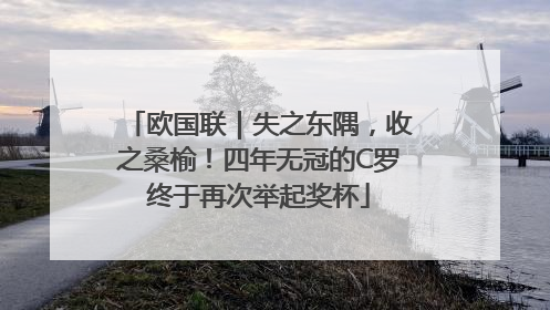 欧国联｜失之东隅，收之桑榆！四年无冠的C罗终于再次举起奖杯