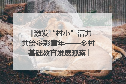 激发“村小”活力 共绘多彩童年——乡村基础教育发展观察