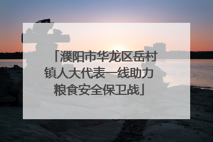 濮阳市华龙区岳村镇人大代表一线助力粮食安全保卫战