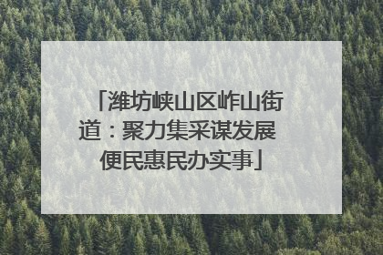 潍坊峡山区岞山街道：聚力集采谋发展 便民惠民办实事
