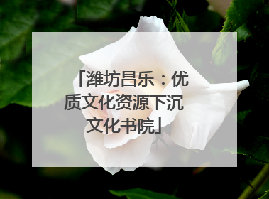 潍坊昌乐：优质文化资源下沉文化书院