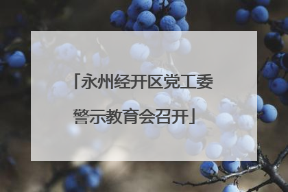 永州经开区党工委警示教育会召开