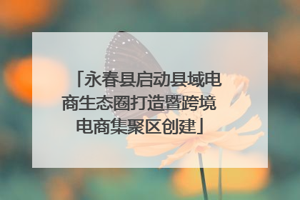 永春县启动县域电商生态圈打造暨跨境电商集聚区创建
