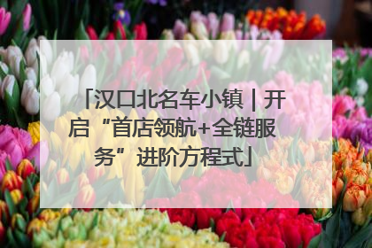汉口北名车小镇｜开启“首店领航+全链服务”进阶方程式