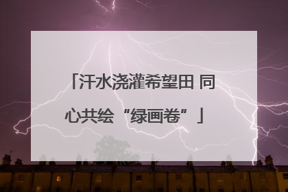 汗水浇灌希望田 同心共绘“绿画卷”