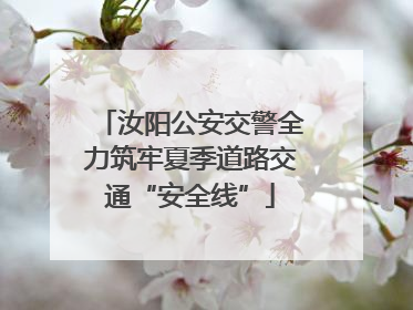 汝阳公安交警全力筑牢夏季道路交通“安全线”
