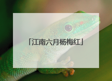江南六月杨梅红