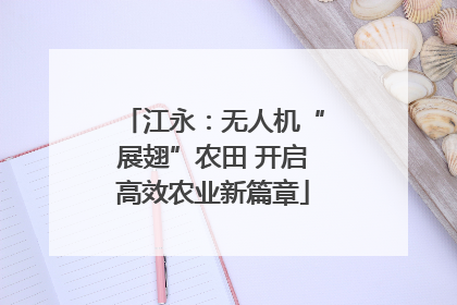 江永：无人机“展翅”农田 开启高效农业新篇章