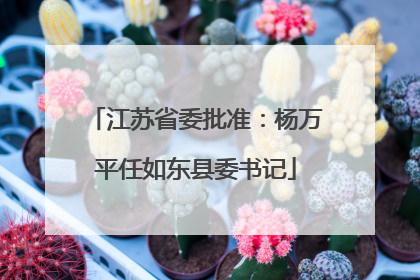 江苏省委批准：杨万平任如东县委书记