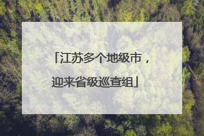 江苏多个地级市，迎来省级巡查组