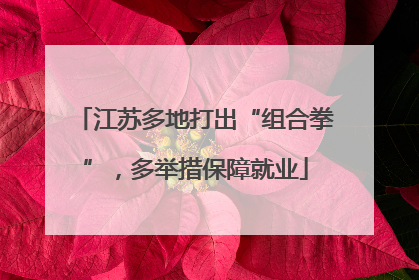 江苏多地打出“组合拳”，多举措保障就业
