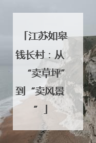 江苏如皋钱长村：从“卖草坪”到“卖风景”