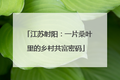 江苏射阳：一片桑叶里的乡村共富密码