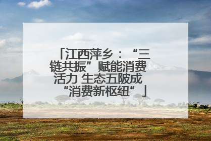 江西萍乡：“三链共振”赋能消费活力 生态五陂成“消费新枢纽”
