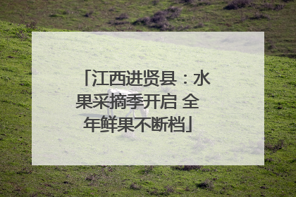 江西进贤县：水果采摘季开启 全年鲜果不断档