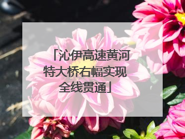 沁伊高速黄河特大桥右幅实现全线贯通