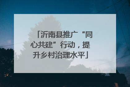 沂南县推广“同心共建”行动，提升乡村治理水平