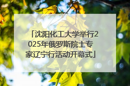 沈阳化工大学举行2025年俄罗斯院士专家辽宁行活动开幕式