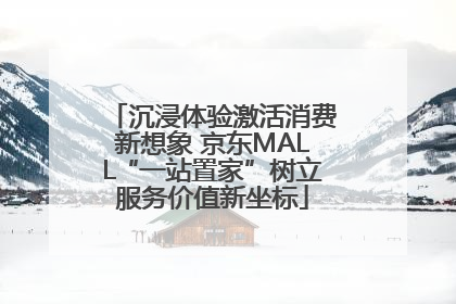 沉浸体验激活消费新想象 京东MALL“一站置家”树立服务价值新坐标