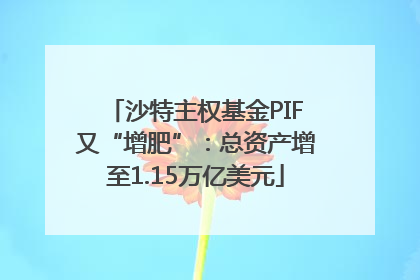 沙特主权基金PIF又“增肥”：总资产增至1.15万亿美元
