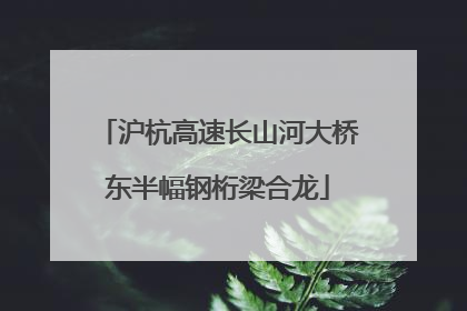 沪杭高速长山河大桥东半幅钢桁梁合龙