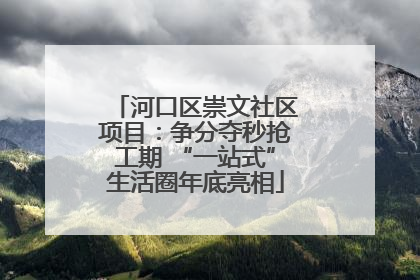 河口区崇文社区项目：争分夺秒抢工期 “一站式”生活圈年底亮相